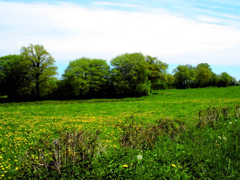 Randonnée : Circuit VTT n°40