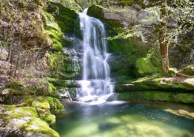 Randonnée : La cascade de Pissevieille