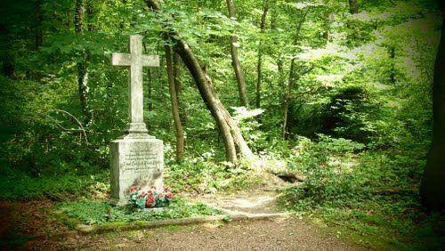 Randonnée : Visite du site historique des hauteurs de Spicheren