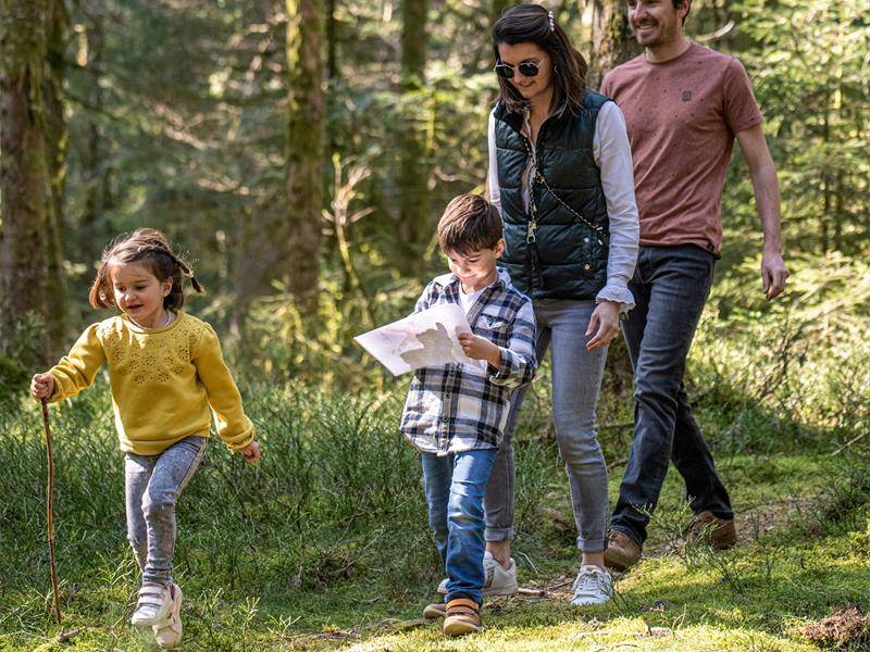 Randonnée : Balade famille - Circuit des étangs depuis l'Étang Noir