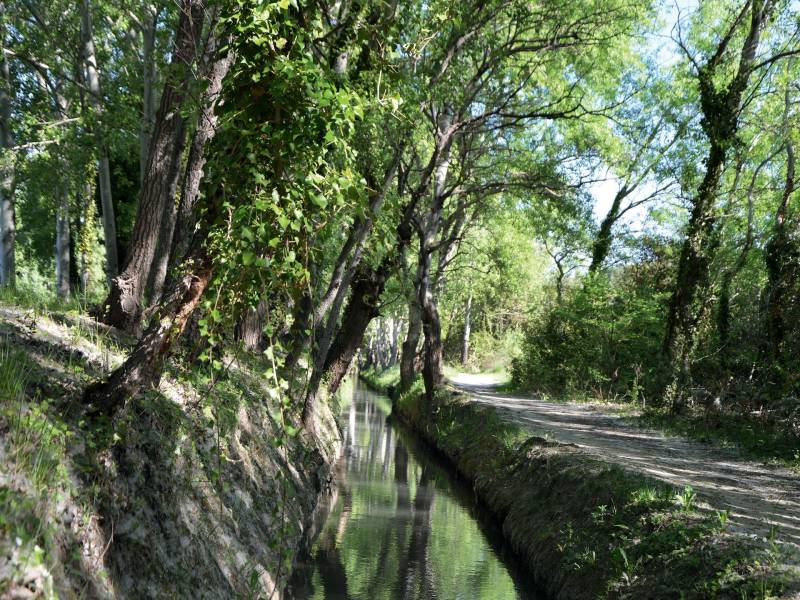 Randonnée : Bouches-du-Rhône en Paysages - Miramas, entre ombres et lumières
