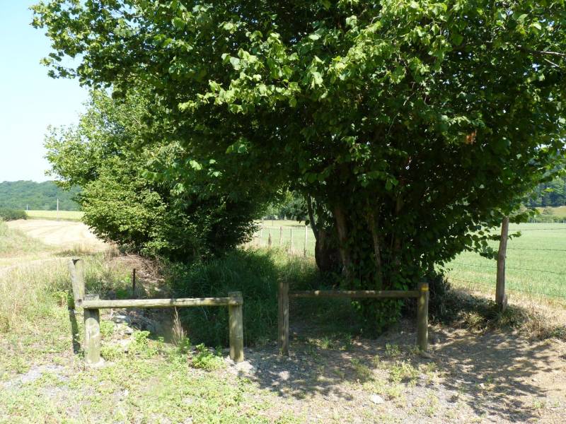 Randonnée : Navailles-Angos : dans le vallon de Navailles