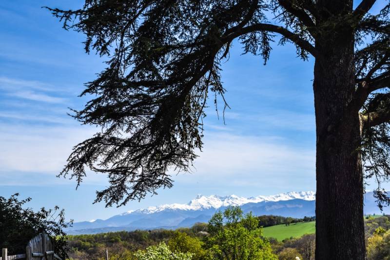 Randonnée : Mazères-Lezons - Des Coteaux à la Saligue