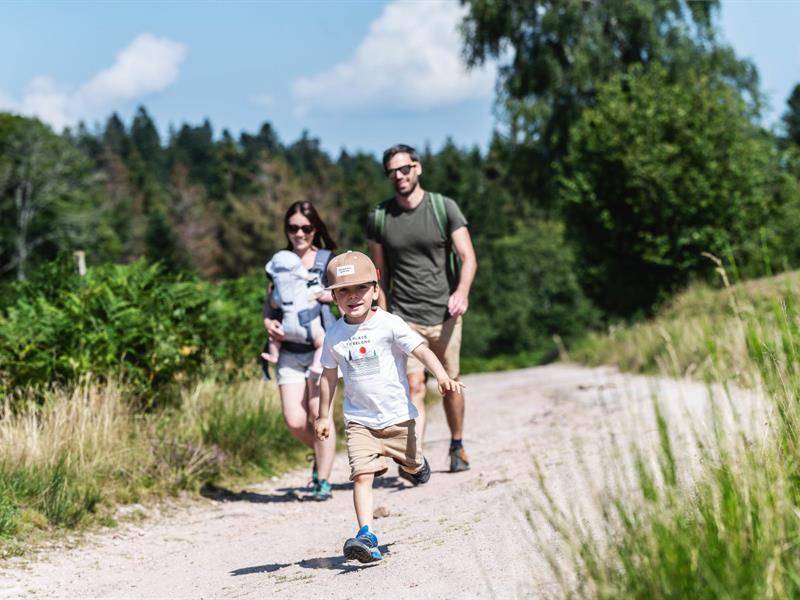 Randonnée : Balade en famille : Circuit découverte de Cosswiller