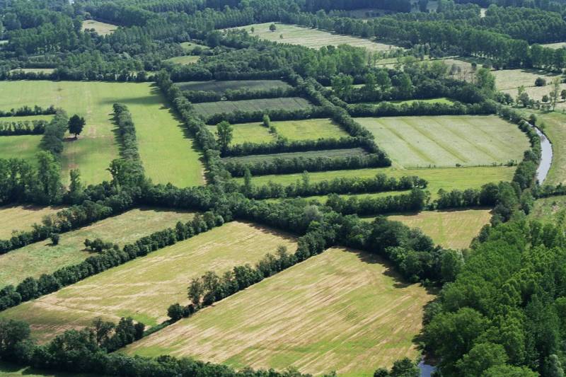 Randonnée : Découverte de Niort et ses villages maraîchins en voiture