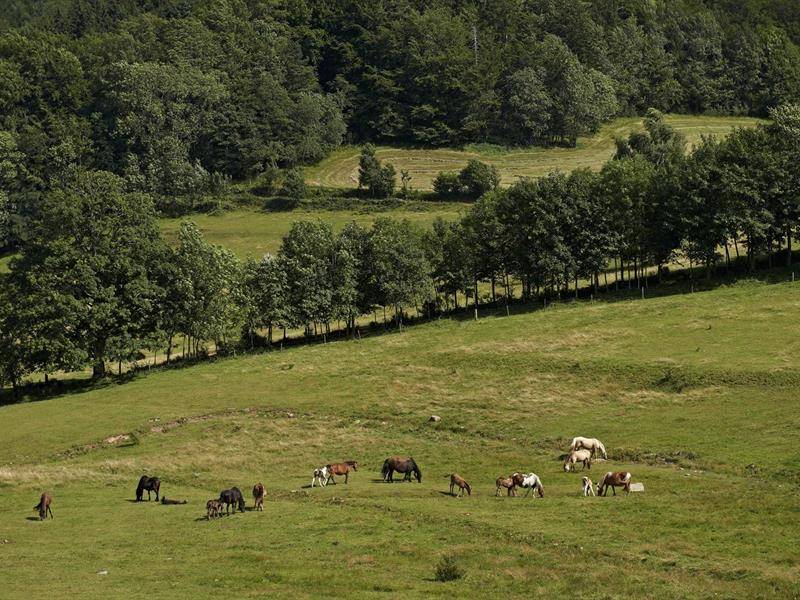 Randonnée : Circuit rando B10 : Les balcons de la vallée de la Bruche