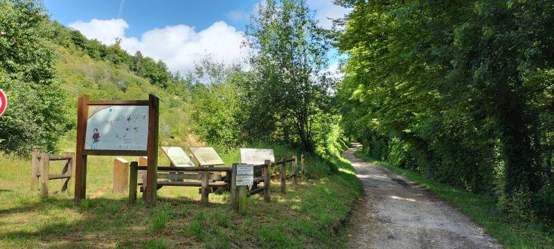 Randonnée : Circuit de la combe des enfants