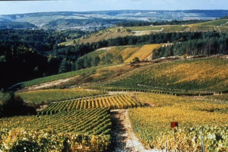 Randonnée : Tour des Vignes