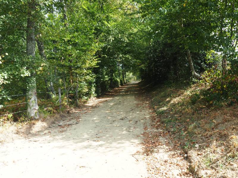 Randonnée : Circuit de randonnée : Circuit de la Vergnade