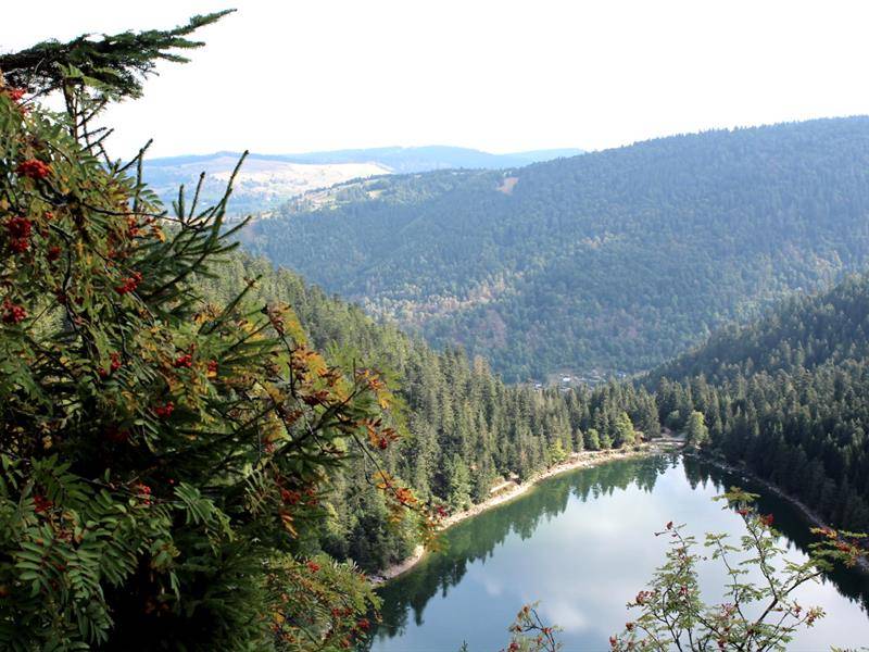 Randonnée : Trail circuit n°4 la roche du lac depuis l'office de tourisme à La Bresse