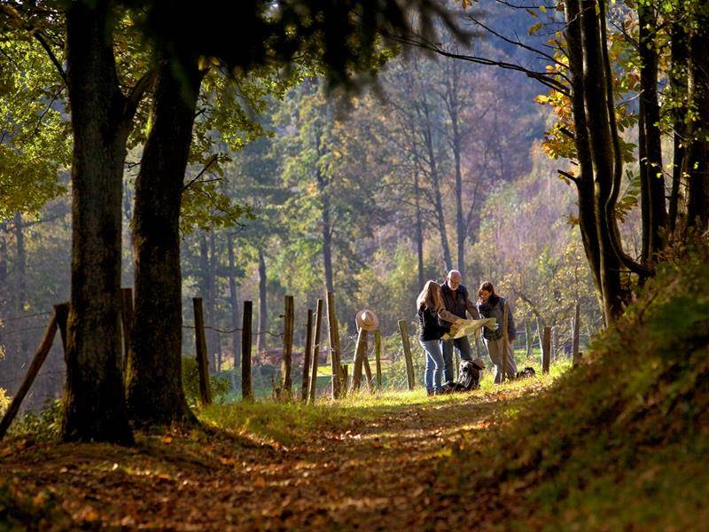 Randonnée : Promenade saute-frontière jusqu'à Nothweiler