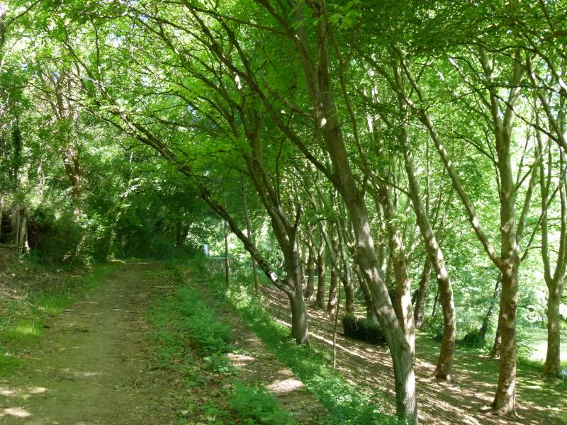 Randonnée : Echiré : patrimoine industriel et gastronomique