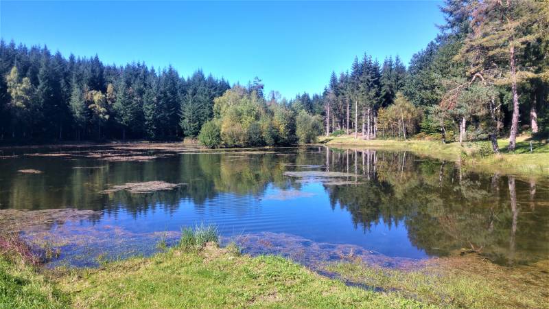Randonnée : VTT - Gravel - A travers champs et forêts - 28 km - circuit 61