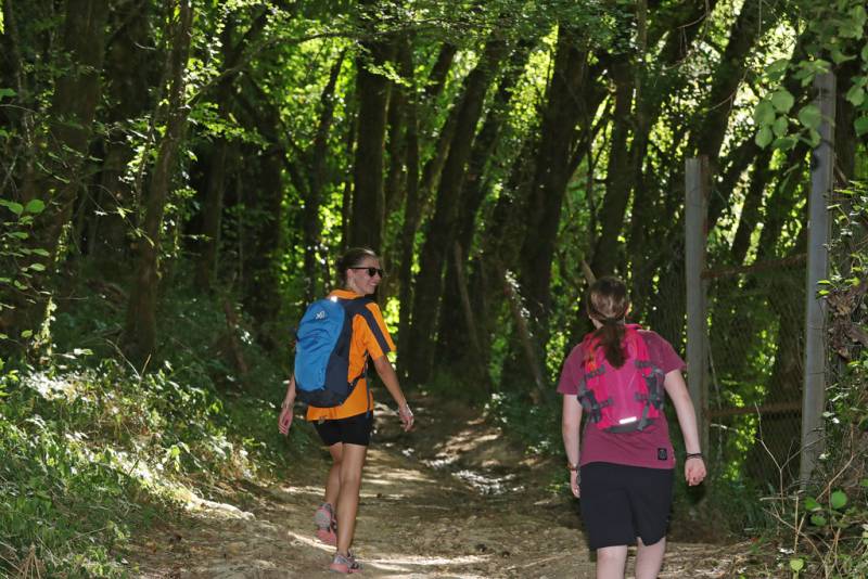 Randonnée : Parcours Trail Montignac-Lascaux n°11