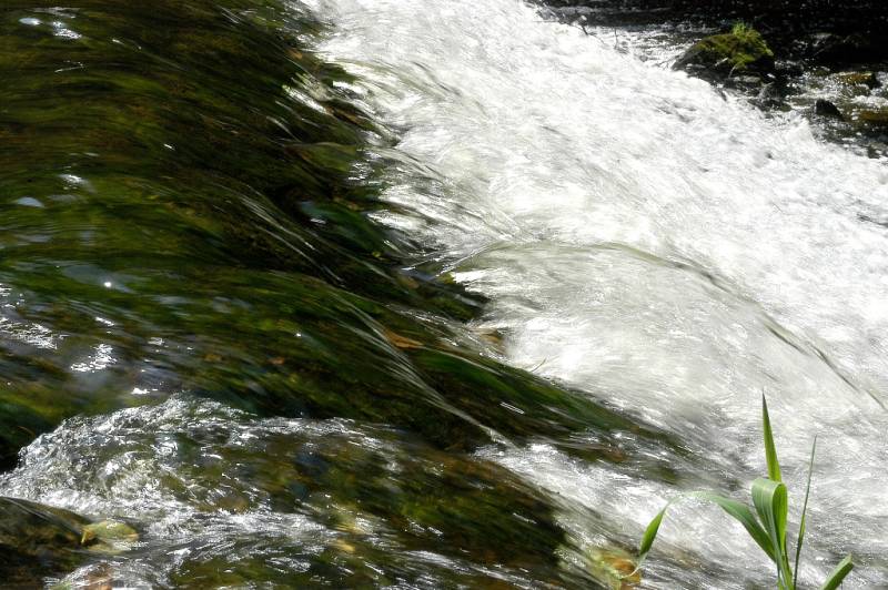 Randonnée : Le moulin de farouille