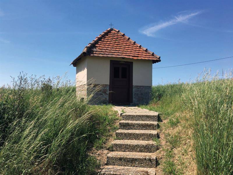 Randonnée : Le grand tour Haguenau-Eschbach
