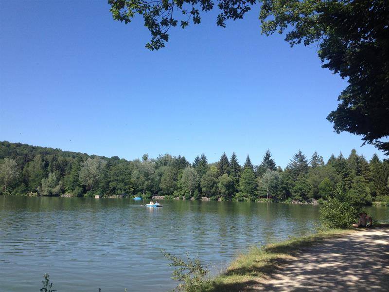 Randonnée : Circuit Pédestre 22 - Vair et Voie Romaine - 10.4 km