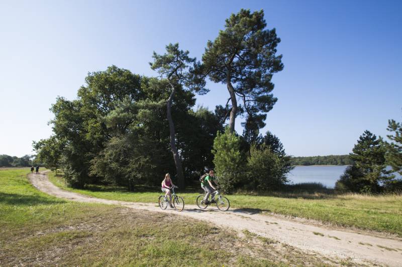 Randonnée : Circuit VTT - De Bellebouche à la Maison du Parc