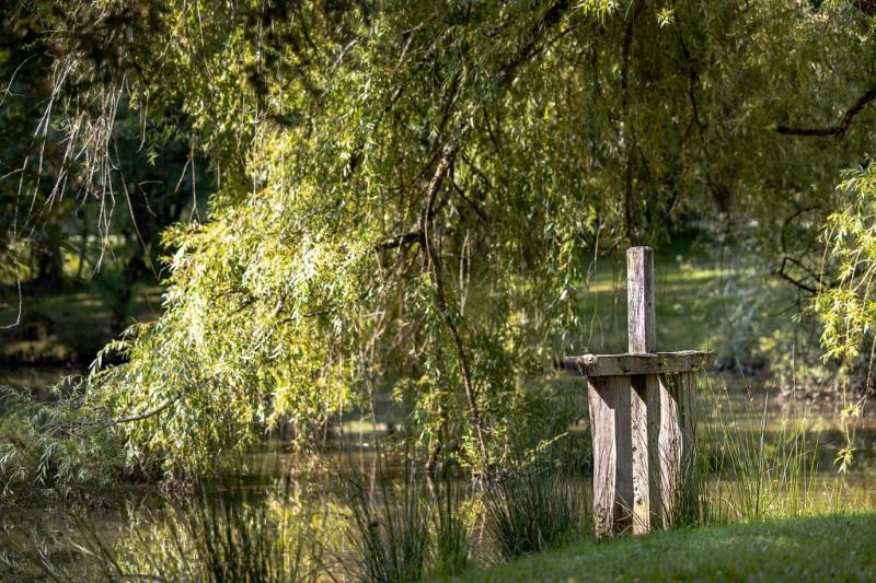 Randonnée : Boucle de la forêt de la Double