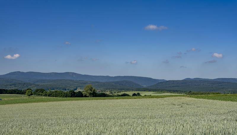 Randonnée : Circuit de Romanswiller - Marche nordique