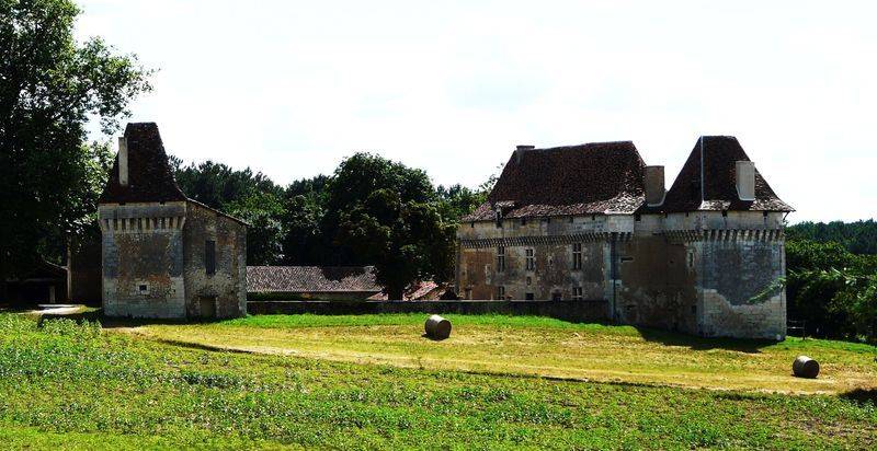 Randonnée : Boucle de Segonzac