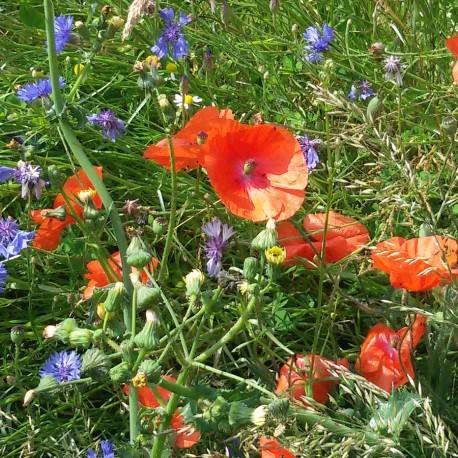 Randonnée : Regard sur la vallée du Thouaret