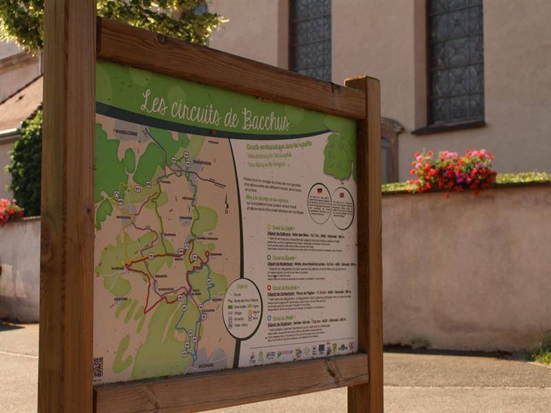 Randonnée : Les circuits de Bacchus - Le Rutscherle