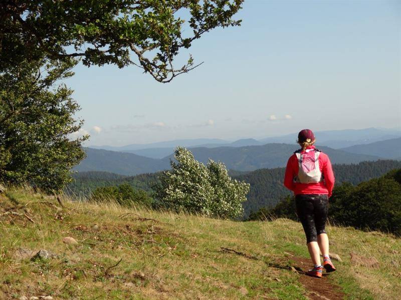 Randonnée : Trail Tour du Molkenrain