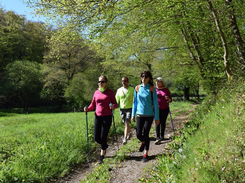Randonnée : Le circuit des Logettes