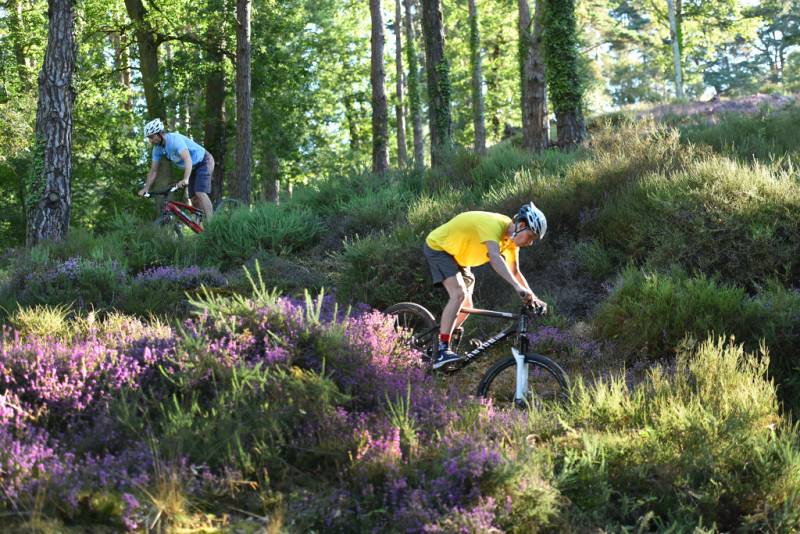 Randonnée : Circuit VTT n°28