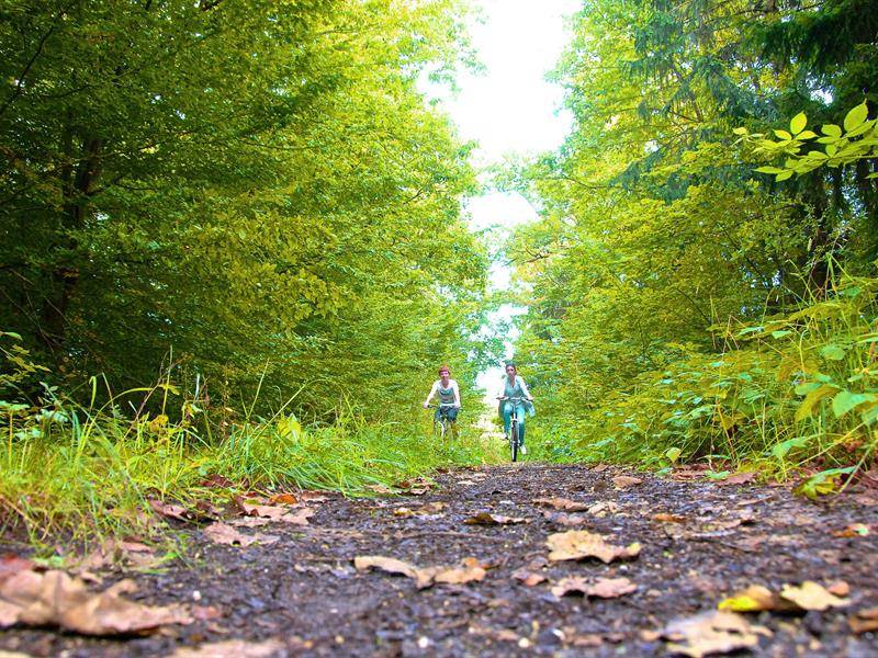 Randonnée : Val de Meurthe - circuit vtt