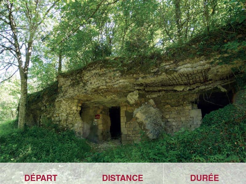 Randonnée : Sentier de Vaux - Circuit Forêt d'Exception