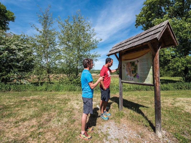 Randonnée : Lespielle : entre moulin et orchidées