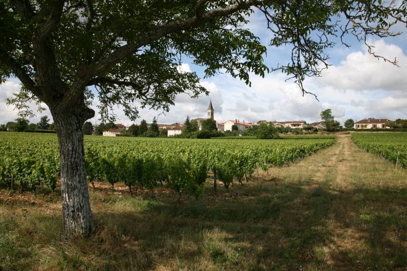 Randonnée : Circuit du Lissourgues