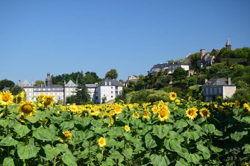 Randonnée : Lescar - Cité et nature