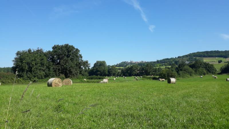 Randonnée : Saint-Sardos/Montpezat, aux origines de la guerre de Cent Ans