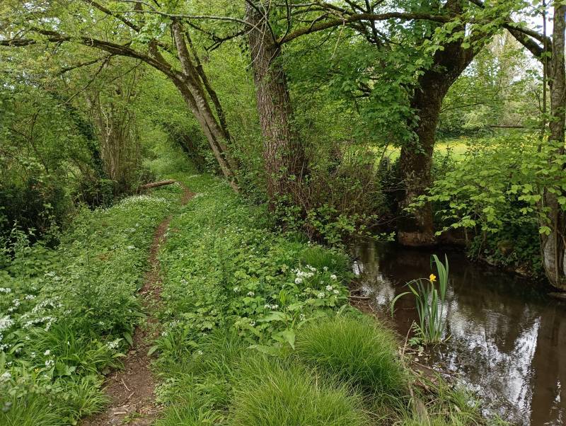 Randonnée : Les Bois de Celles - Celles-sur-Belle
