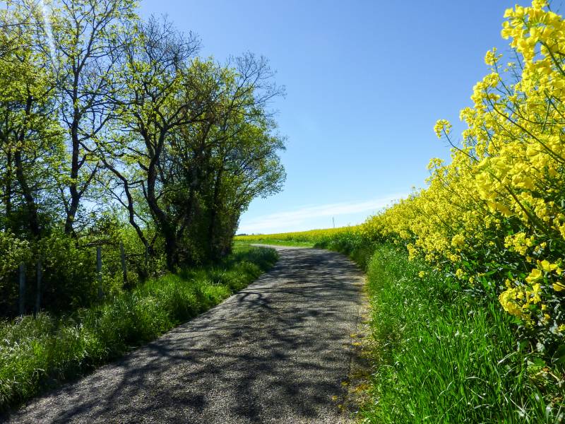 Randonnée : Sur la Route des Moulins