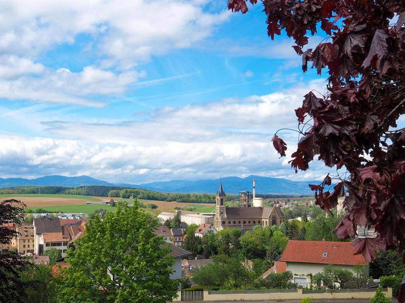 Randonnée : Randonnée pédestre sur les Hauteurs d'Altkirch