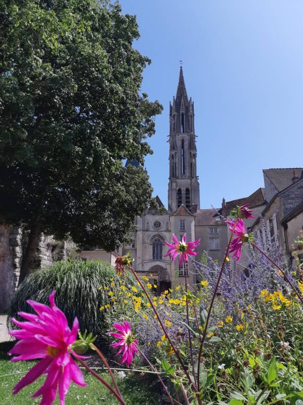 Randonnée : Senlis, ville royale