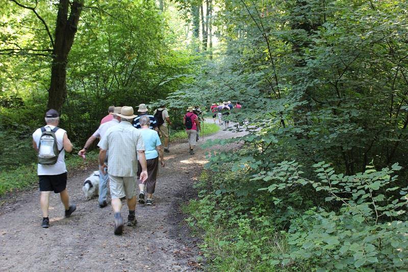 Randonnée : Sentier pédestre : Les Berges du Rhin