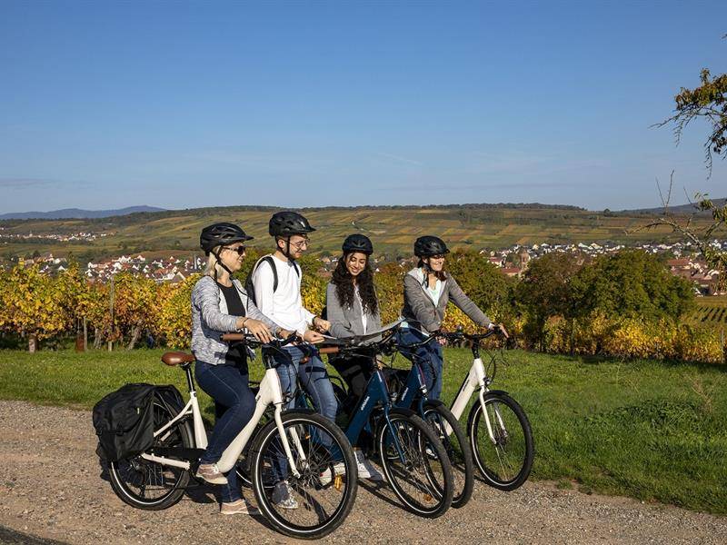 Randonnée : Circuit autour de Rosheim