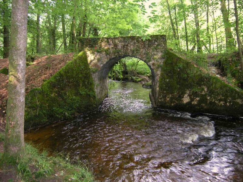 Randonnée : Sentier des étangs