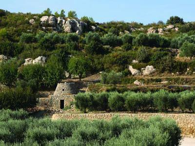 Randonnée : Salon de Provence : Le sentier de la Pastorale
