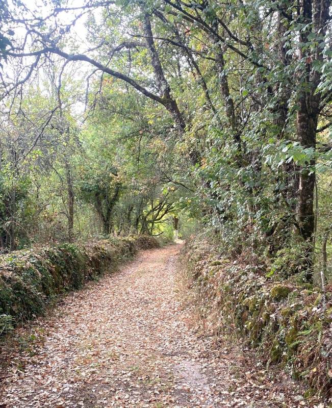 Randonnée : Boucle de la Verrerie