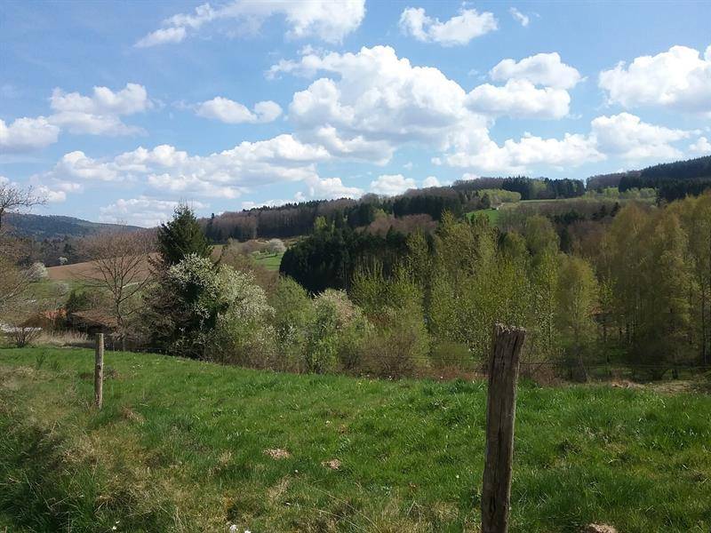 Randonnée : Rando n°21 - Circuit de l'Hérigoutte
