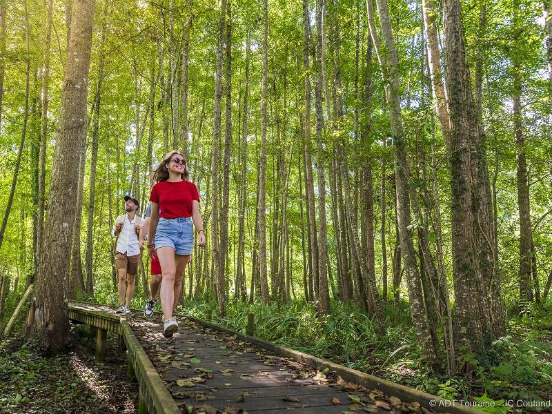 Randonnée : Le chemin de la Petite Choisille - Randonnée en Nord-Touraine
