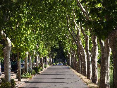 Randonnée : Un tour des Alpilles à partir d'Arles