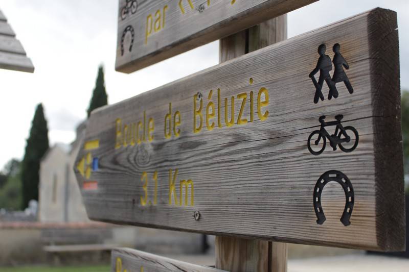 Randonnée : Boucle de Béluzie - Sainte Foy des Vignes - Ginestet