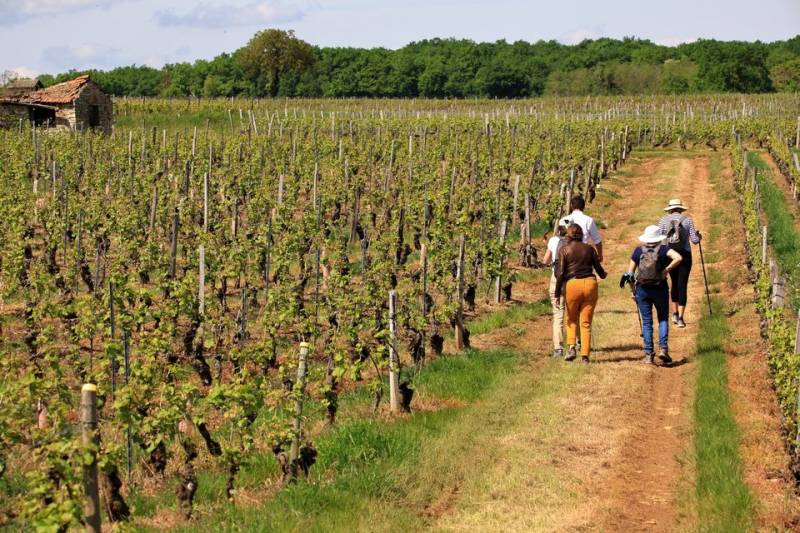 Randonnée : Le Chemin des Charmes